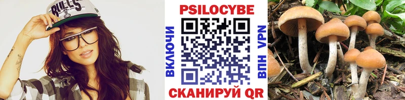 Галлюциногенные грибы GOLDEN TEACHER  Хилок 